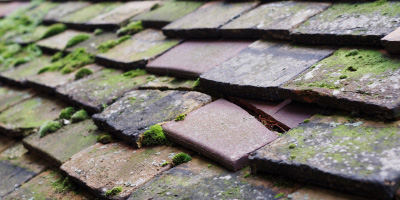Noctorum roof repair costs